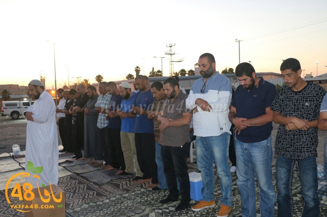 shabab yafafa naf7a (19).jpg